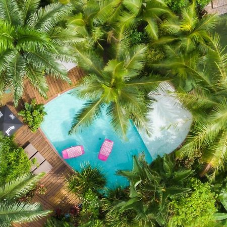 Monkey Lodge Panama Chilibre Εξωτερικό φωτογραφία