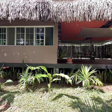 Monkey Lodge Panama Chilibre Εξωτερικό φωτογραφία