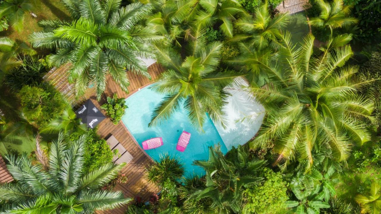 Monkey Lodge Panama Chilibre Εξωτερικό φωτογραφία