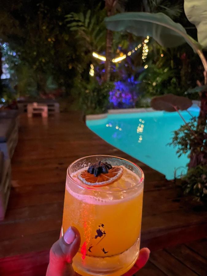 Monkey Lodge Panama Chilibre Εξωτερικό φωτογραφία