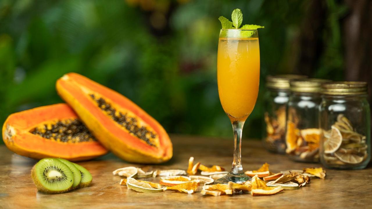 Monkey Lodge Panama Chilibre Εξωτερικό φωτογραφία