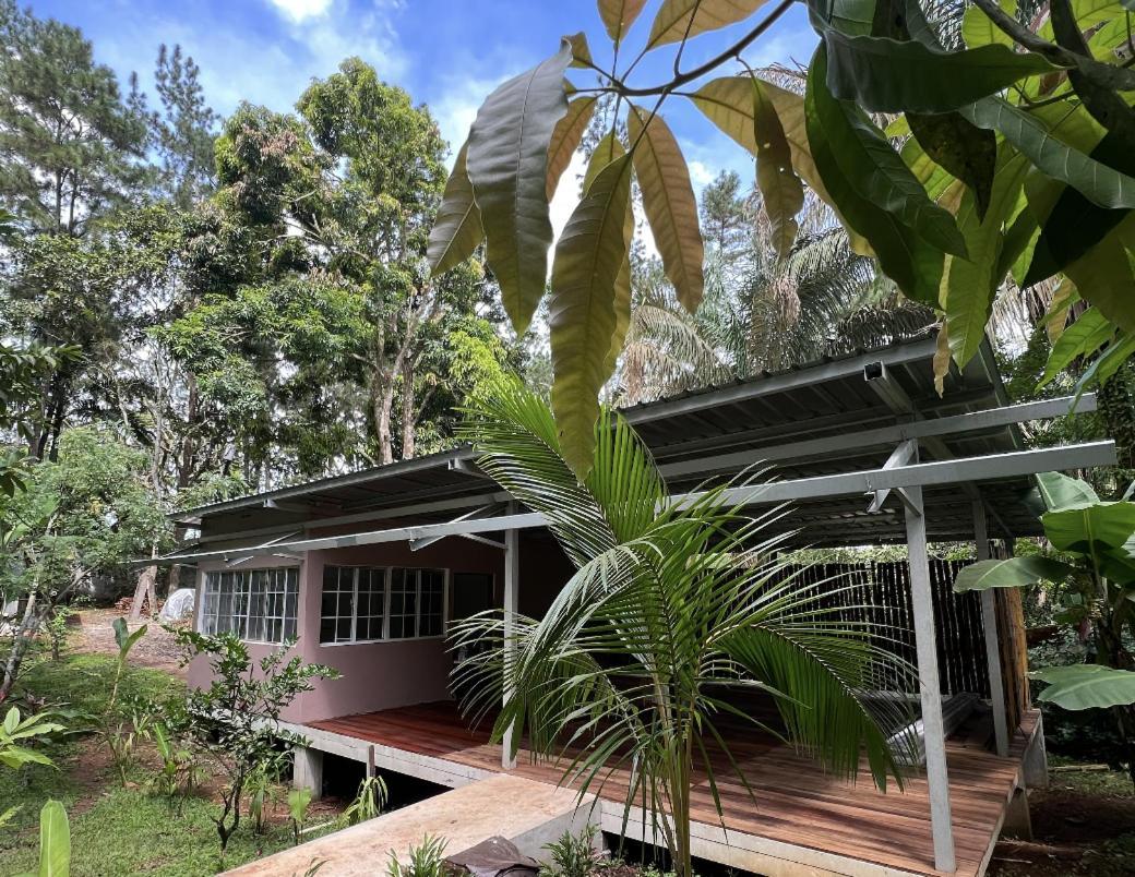Monkey Lodge Panama Chilibre Εξωτερικό φωτογραφία