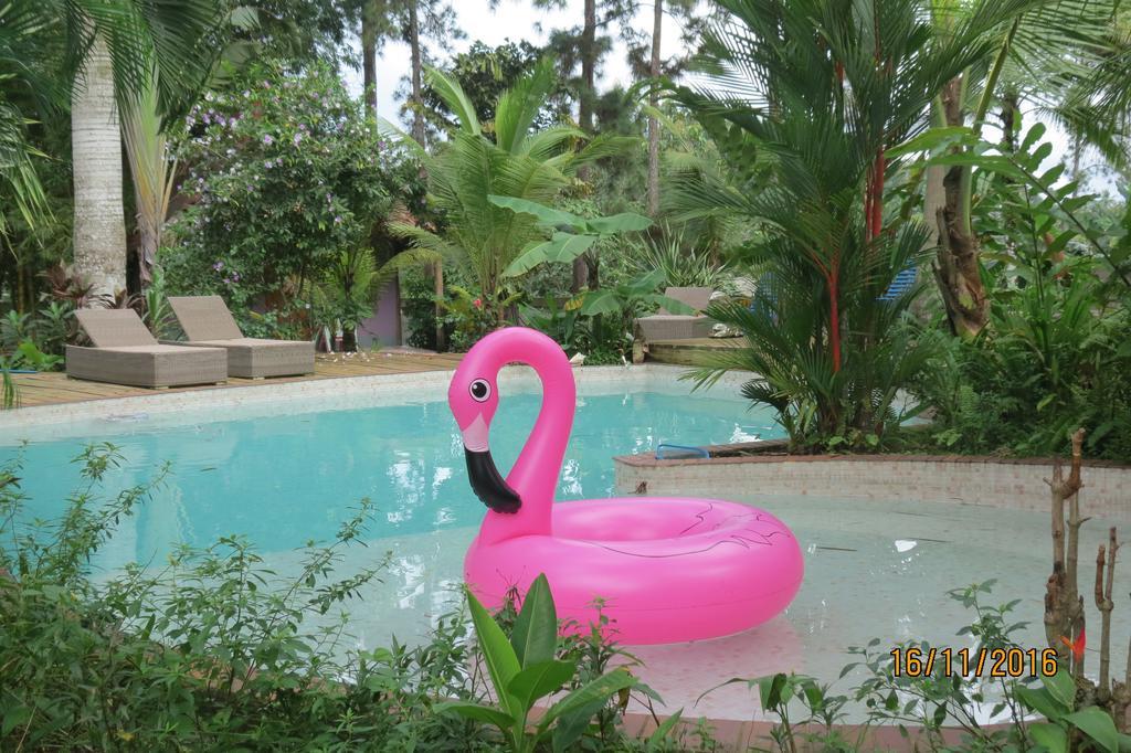 Monkey Lodge Panama Chilibre Εξωτερικό φωτογραφία