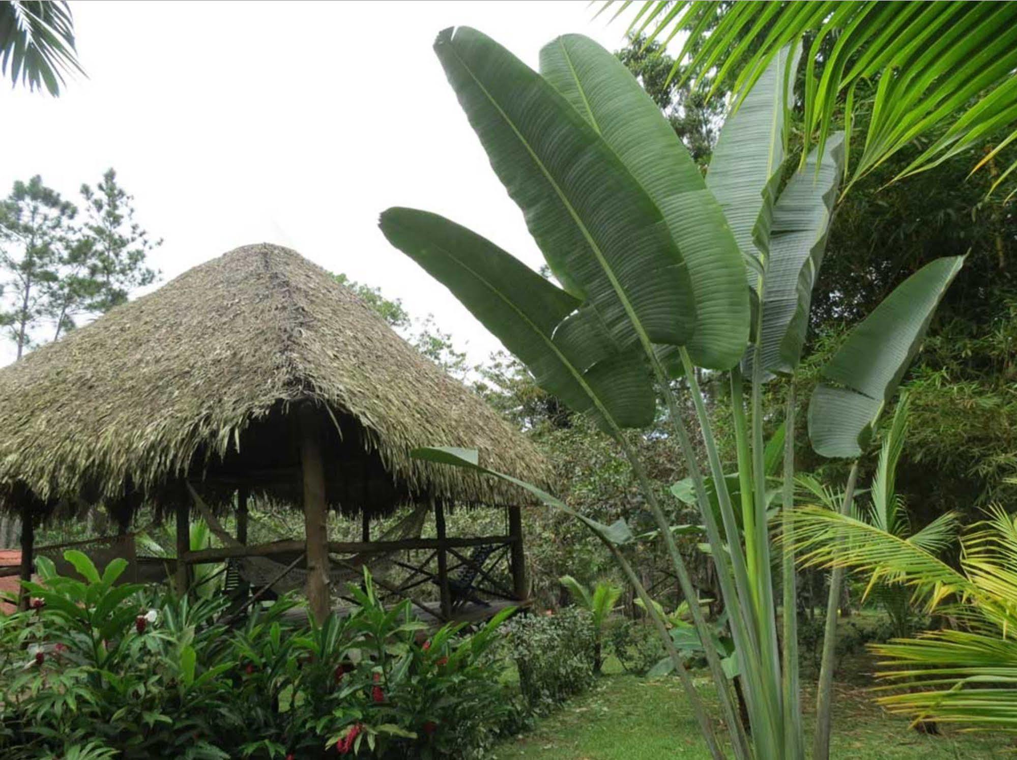 Monkey Lodge Panama Chilibre Εξωτερικό φωτογραφία