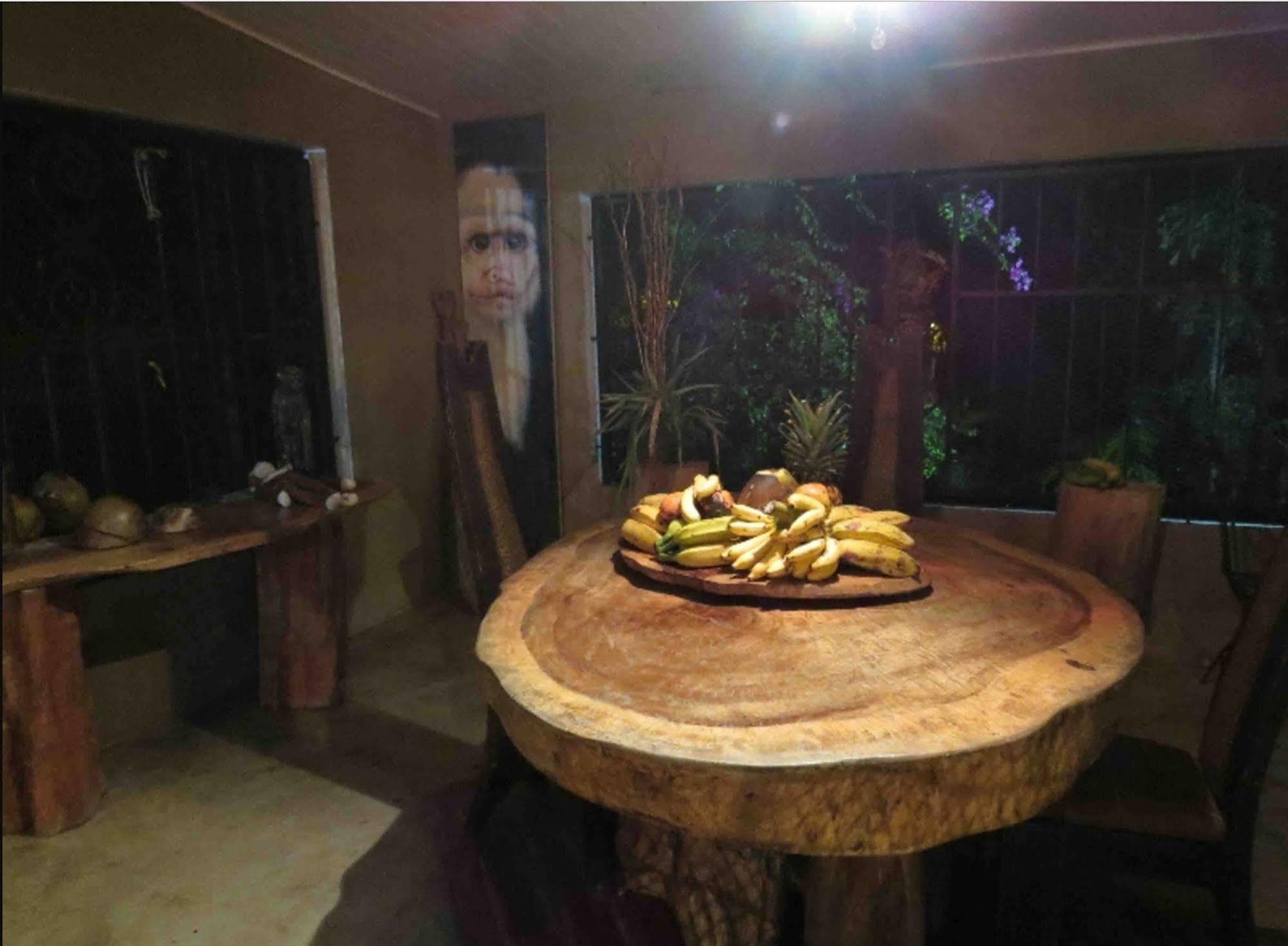 Monkey Lodge Panama Chilibre Εξωτερικό φωτογραφία