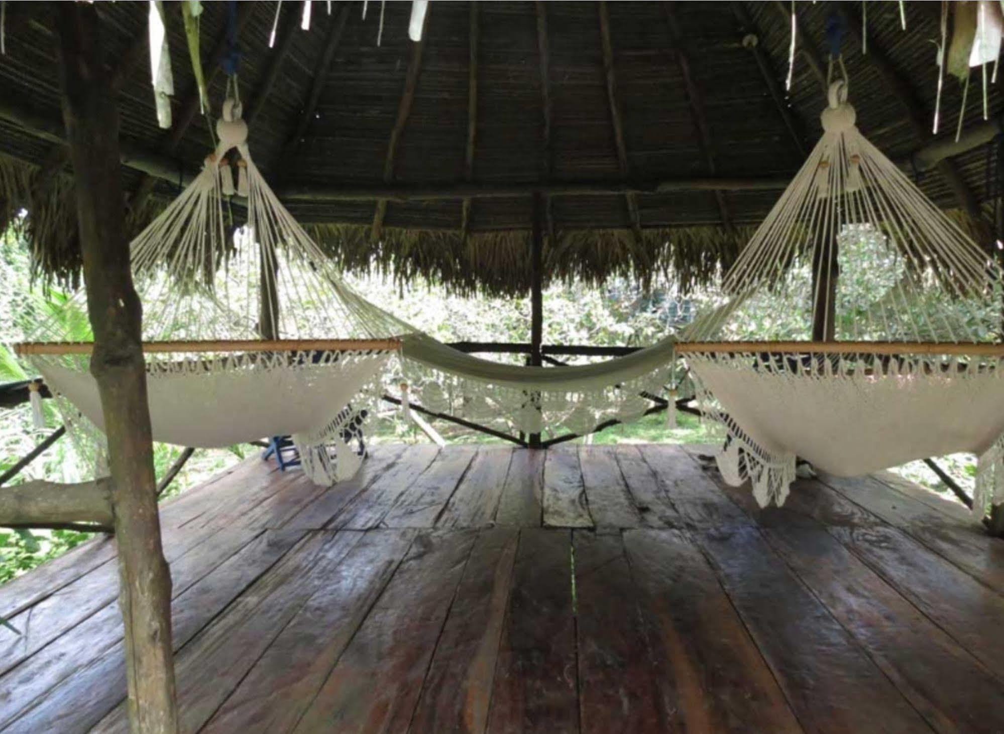 Monkey Lodge Panama Chilibre Εξωτερικό φωτογραφία